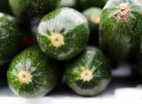 cat-vegetables