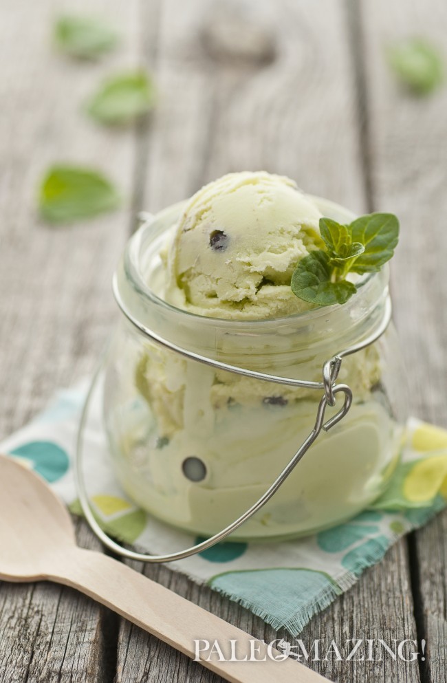 Paleo Mint Ice Cream