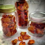 Paleo Healthy Dried Apricots