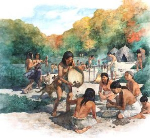 WHY PALEO?