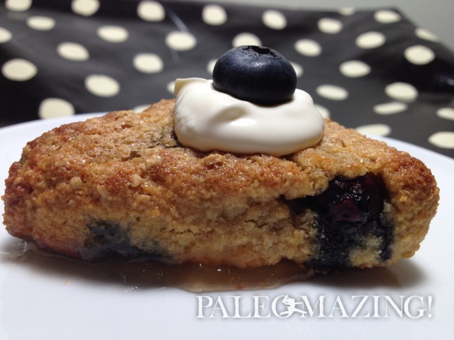 Paleo Blueberry Scones