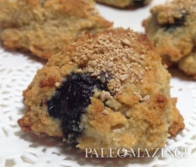 Paleo Homemade Berry Mini Bites