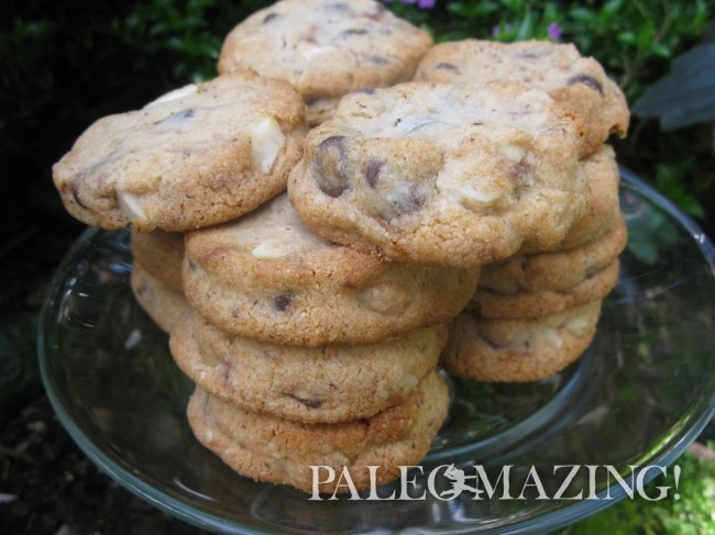 Tina’s Amazing Paleo Chocolate Chip Cookies