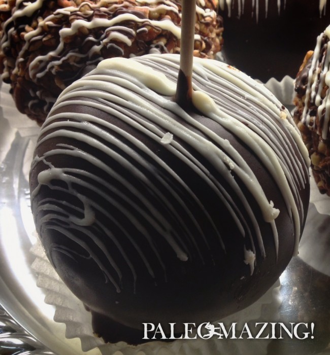 Paleo Dark Chocolate Dipped Peaches and Apricots