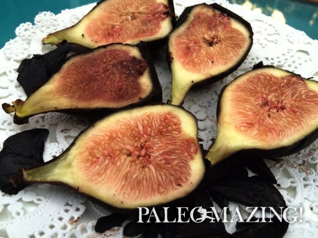 Paleo Homemade Dark Chocolate Dipped Fresh Figs