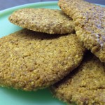 Oatmeal No Oatmeal Cookies