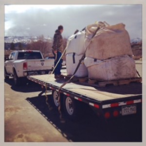 Pig Feed Off the Truck