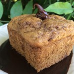 Breakfast Squares with Chocolate