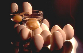 Eggs and Cup