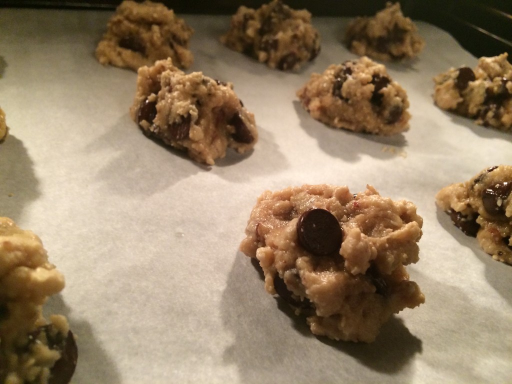 Chocolate Chip Cookies Go Wild