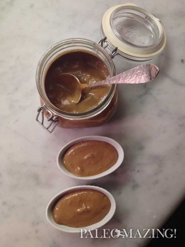 Paleo Chocolate Ice Cream or Pudding