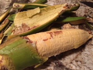Tostones-Paleo-Puerto-Rican-Style