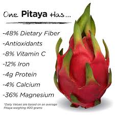 Pitaya Plus  The Superfood