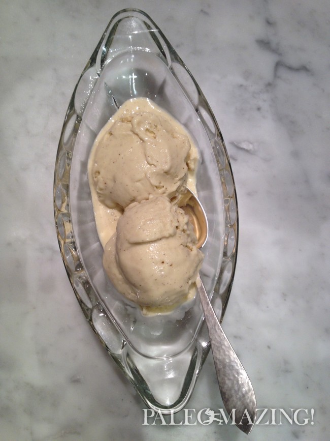 Paleo Vanilla Bean Ice Cream
