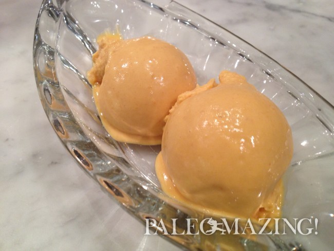 Paleo Peach Mango Ice Cream