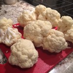 Paleo Macaroni and Cheese