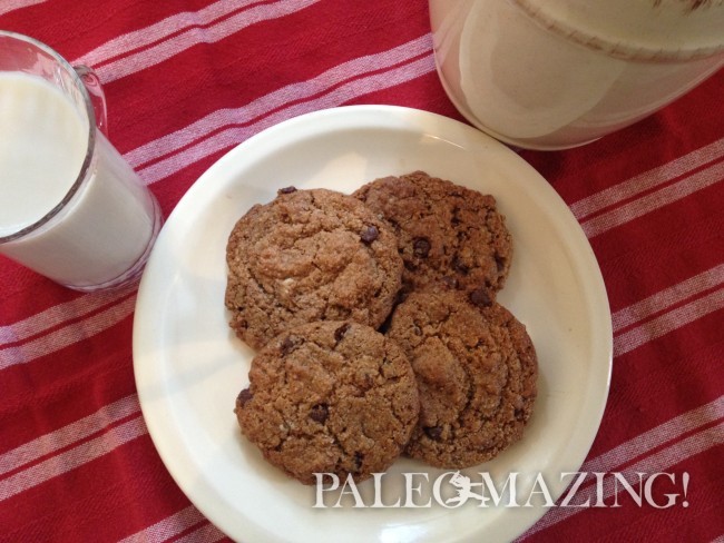 Vegan Chocolate Chip Cookies for Earth Day