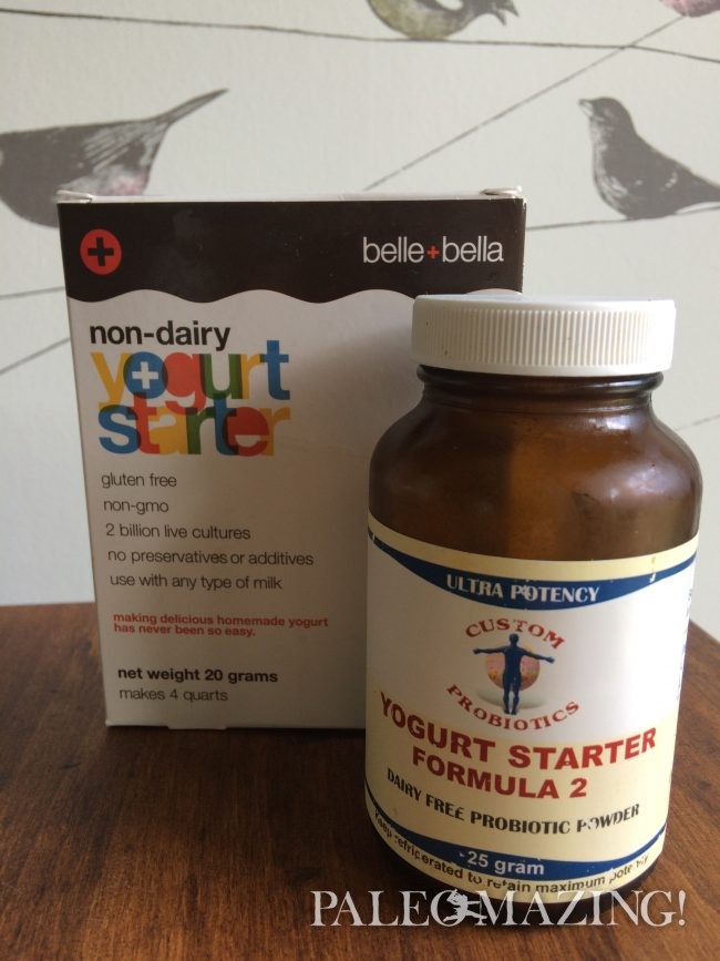 Paleo, Probiotics and Gut Health