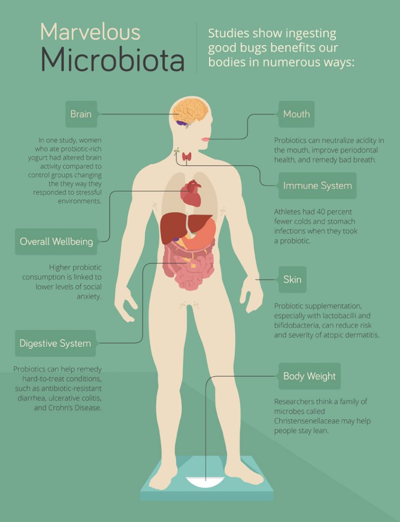 Paleo Probiotics and Gut Health2