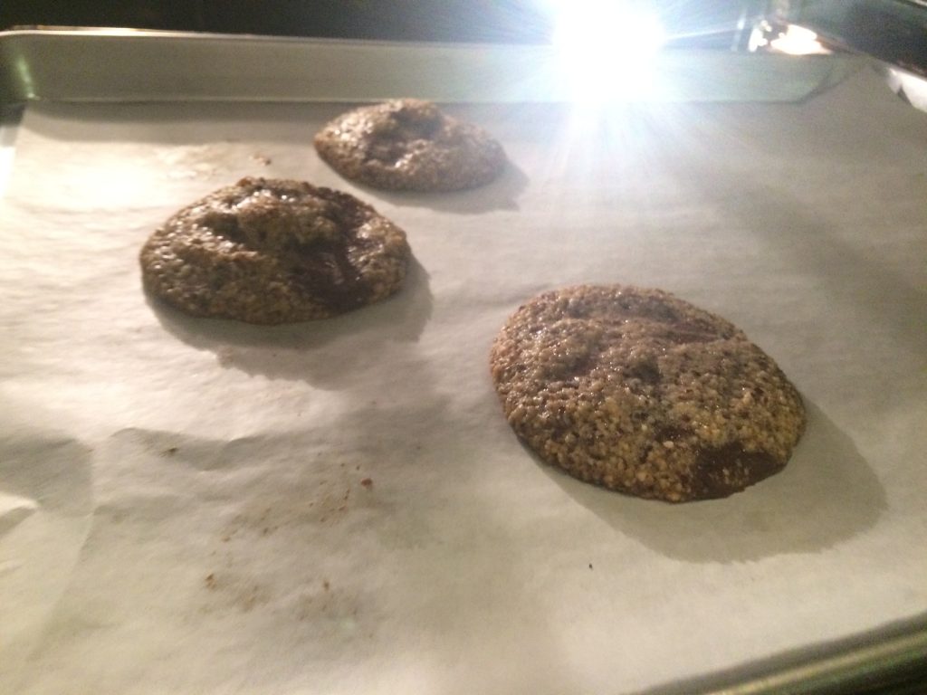 Paleo Oatmeal Cookies 2