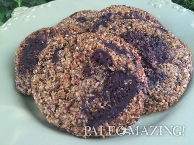 Paleo Oatmeal Cookies