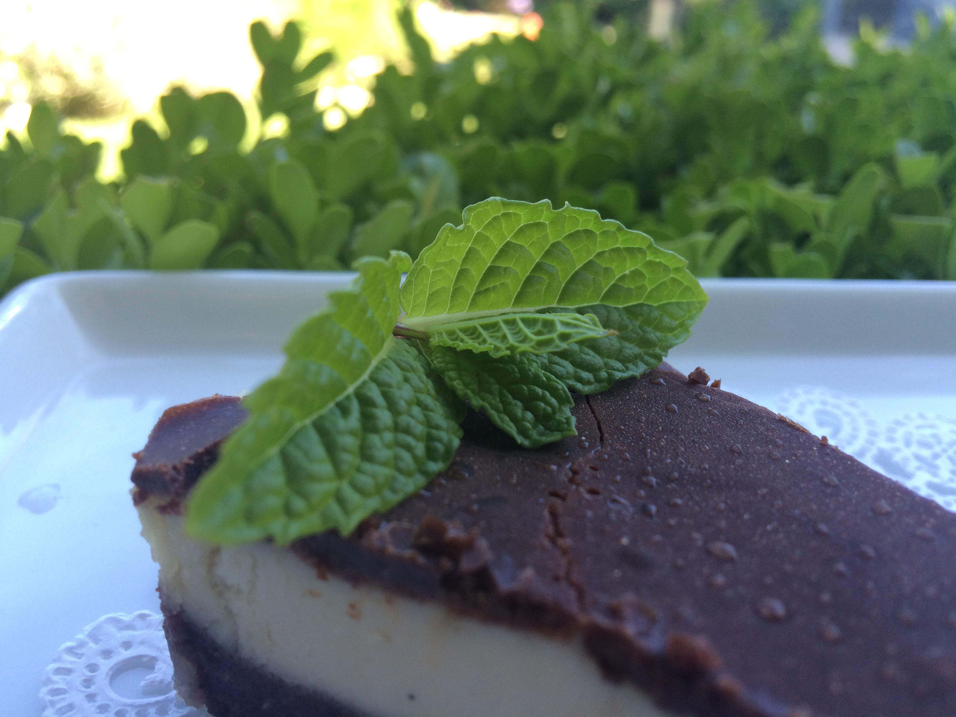 Paleo Raw Hazelnut Chocolate Mint Tart featured 2