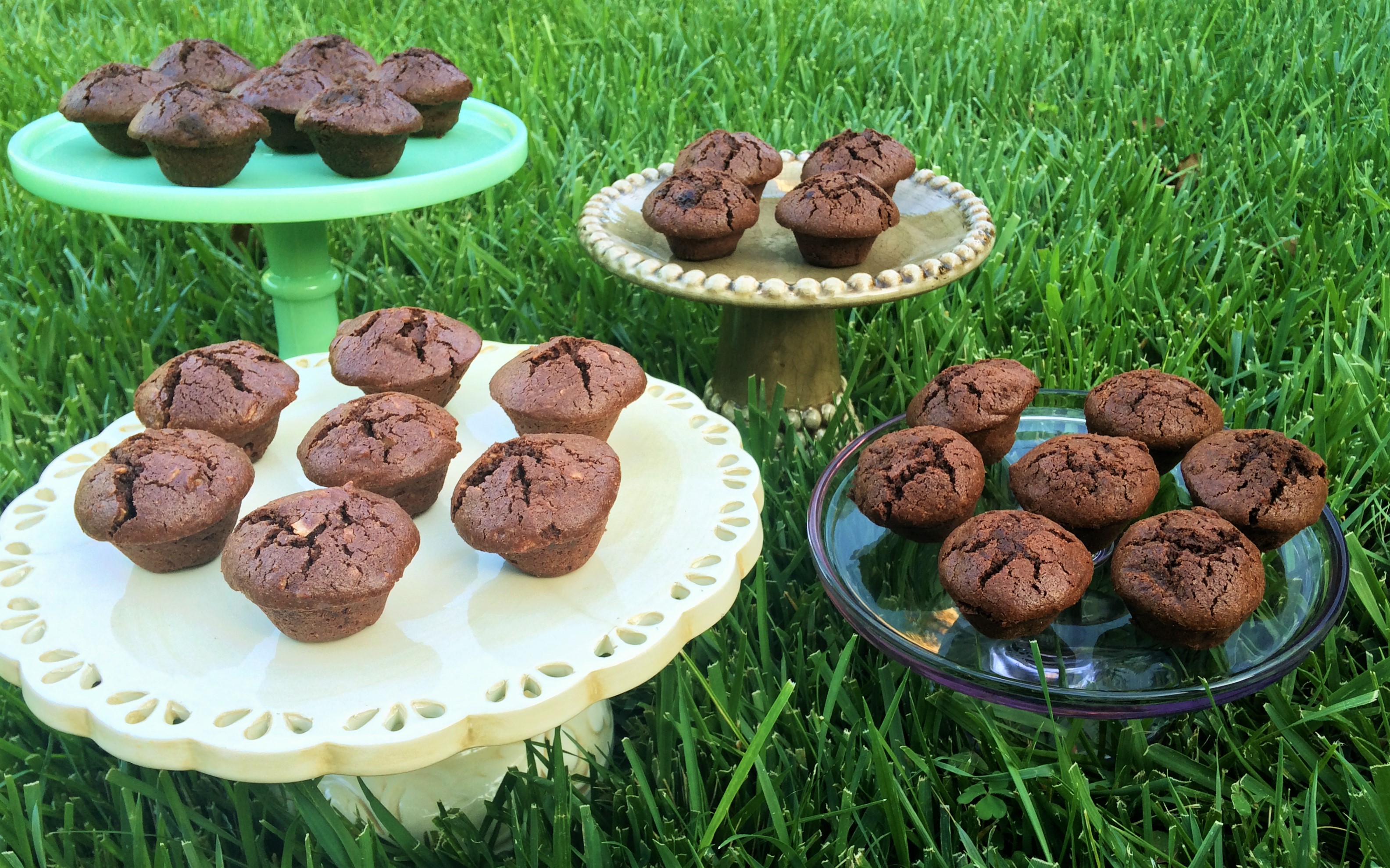 Gluten Free Chocolate Brownies Mini Muffin Heaven– OMG! featured